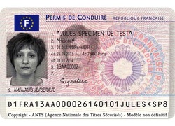 Logo_rijbewijs_frans_permis_de_conduire