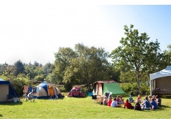 Logo_groepskamperen_staatsbosbeheer