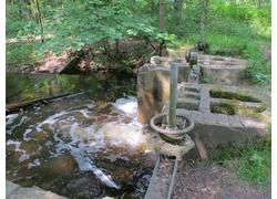 Logo_waterloopbos_ew_img_9841_0