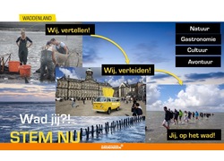 Logo_stembiljet_-_wad_jij___
