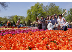 Logo_keukenhof_2016_2