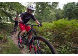 Logo_mtb_activiteiten_0
