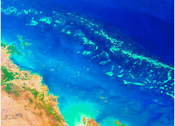 Logo_great_barrier_reef