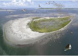 Logo_2016_griend_na_herstel_illustratie-wim-dasselaar_natuurmonumenten