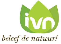 Logo_ivn_logo_beeldmerk_payoff_groot