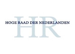 Logo_hoge-raad-logo-300-300x159