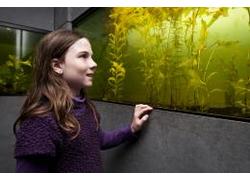Logo_aquarium_bezoekerscentrum_nieuwkoopse_plassen