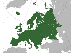 Logo_europa_geheel