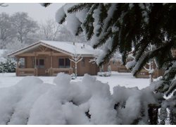 Logo_winterfoto-2008_herikerberg_finspark