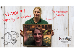 Logo_sandra_olifanten_vlog_dierenpark_amersfoort