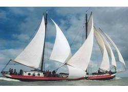 Logo_averechts_charterschip_bruine_vloot