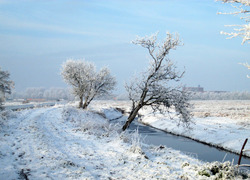 Normal_2809