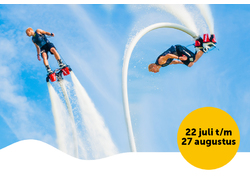 Logo_flyboardshow_22-7_27-8-2017_dolfinarium