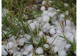 Logo_hagel_hail_richmondhill