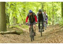 Logo_mountainbiken