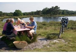Logo_picknick_in_natuur_fietsen_nbtc