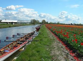 Normal_leidsevaart__kano_s__tulpen__plantenkas__bollenstreek