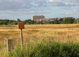 Normal_bossche_broek__staatsbosbeheer