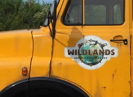 Normal_wildlands_adventure_zoo_emmen__gele_truck