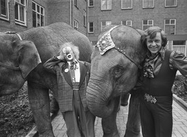 Opening overbruggingspaviljoen "De Hoogstraat" door Margriet, hier het clownsduo Bassie en Adriaan met twee olifanten (18-11-1980) - beeldbank Nationaal Archief Opening overbruggingspaviljoen "De Hoogstraat" door Margriet, hier het clownsduo Bassie en Adriaan met twee olifanten (18-11-1980) - beeldbank Nationaal Archief
