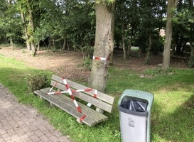 Normal_bankje_recreatiepark__t_hooge_holt__processierupsen
