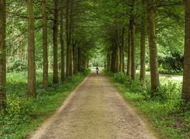 Afbeelding via beeldbank Staatsbosbeheer Afbeelding via beeldbank Staatsbosbeheer