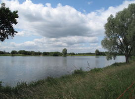 Foto: Michiel Verbeek
