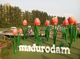 Normal_madurodam__tulpen