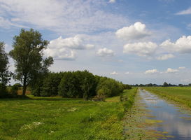 Alblasserwaard (Pelgrimspad ten zuiden van Bleskensgraaf) | Foto: © MartinD / Wikipedia Alblasserwaard (Pelgrimspad ten zuiden van Bleskensgraaf) | Foto: © MartinD / Wikipedia