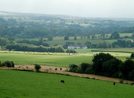 Normal_limburg__heuvels__koeien__kasteel__groen__lichte_bewolking