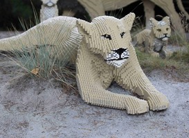 Normal_legolandleeuw__lego__strand__leeuw__duingras