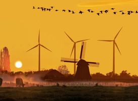 Normal_afbeelding_nederlands_landschap__vogels__molen__windmolens__koeien__zon__weilan___via_persbericht_natuurmonumenten