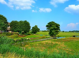 Normal_noord-holland__beemster__landschap__slootjes__drooggelegd__polder__bomen__blauwe_lucht__weiland