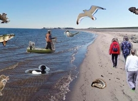 Normal_promotiebeeld_week_van_ons_water__vernieuwde_houtribdijk__zuiderzeemuseum__-_beeld_via_persbericht_unie_van_waterschappen