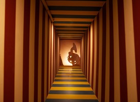 Normal_doloris__meta_maze__beeld_via_doloris_