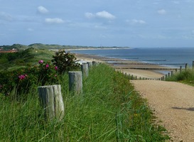 Normal_zoutelande__walcheren__zeeland___noordzee__strand__zee__duinen__bloemen__gras__schelpenpad__huizen__vlag