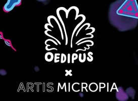 Normal_oedipus_x_artis_micropia