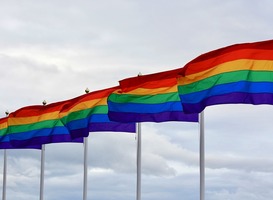 Normal_regenboogvlaggenm