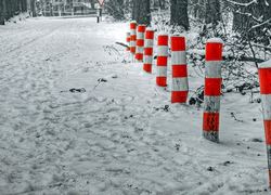 Normal_6806