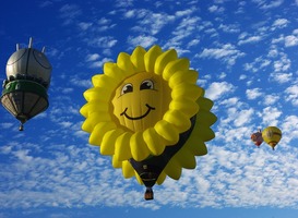 Normal_heteluchtballon__zonnebloem_