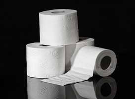 Normal_wc-papier