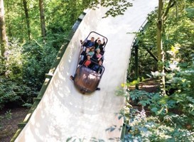 Normal_bobsleebaan_efteling