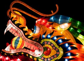 Normal_chinese_draak__lichtgevend