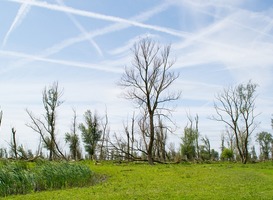 De Oostvaardersplassen, een van de natuurgebieden waar het Pionierspad langskomt. De Oostvaardersplassen, een van de natuurgebieden waar het Pionierspad langskomt.