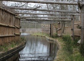 Grote Otterskooi; eendenkooi bij Dwarsgracht (Giethoorn, Weerribben Wieden) Grote Otterskooi; eendenkooi bij Dwarsgracht (Giethoorn, Weerribben Wieden)