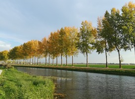 Normal_gelderland__bomen__water__klompenpaden