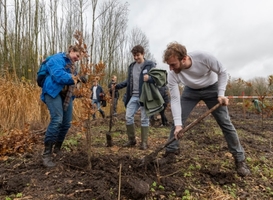 Bomenplantdag Trees for All (Waalse Bos en Bieslandse Bos) Bomenplantdag Trees for All (Waalse Bos en Bieslandse Bos)