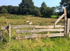 Normal_landschap__overijssel__twente__natuur_voor_elkaar