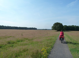 Normal_fietsvakantie_in_nederland__beeld_via_persbericht_landelijk_fietsplatform_