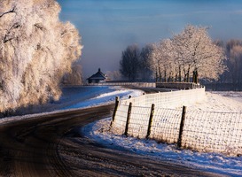 Normal_winter-1327185_1280